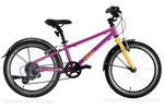 whizzy Kids | WildCruiser 20'' Fahrrad | Pre-Sale