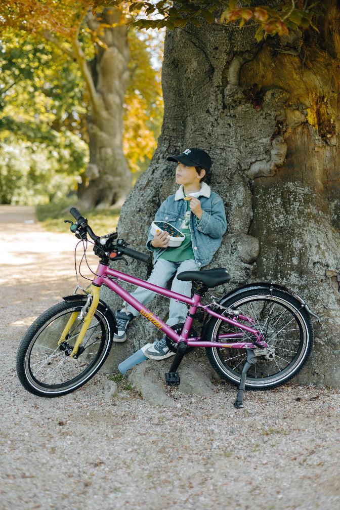 whizzy Kids | WildCruiser 20'' Fahrrad Leichtgewicht